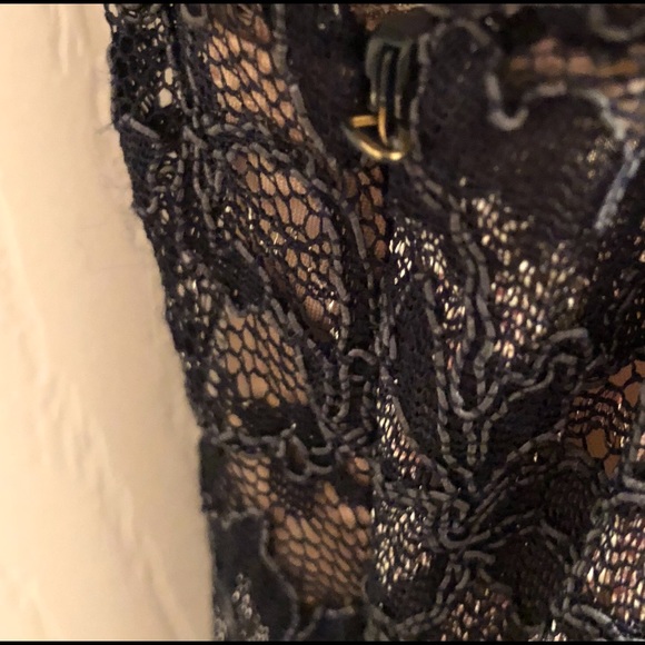 BCBG Maxazria Sheer Blue Lace Overlay w/ Nude Slip - Picture 5 of 5